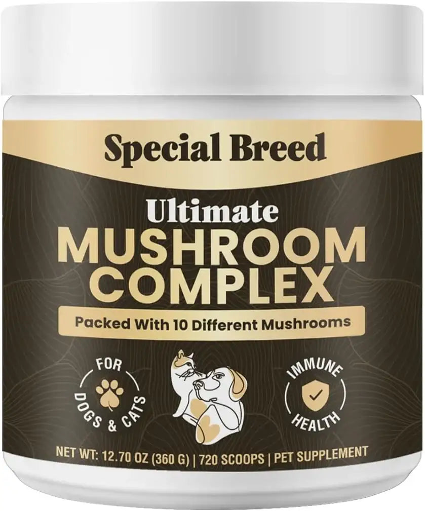 SPECIAL BREED - Special Breed Mushroom Powder for Dogs & Cats 720 Servicios 360Gr. - The Red Vitamin MX - Suplementos Herbales Para Perros - {{ shop.shopifyCountryName }}