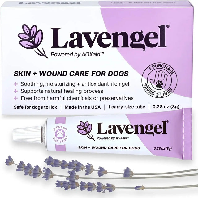 LAVENGEL - Lavengel for Dogs Reduces Skin Irritations and Itching 8Gr. - The Red Vitamin MX - Remedios Para La Picazón De Perros - {{ shop.shopifyCountryName }}