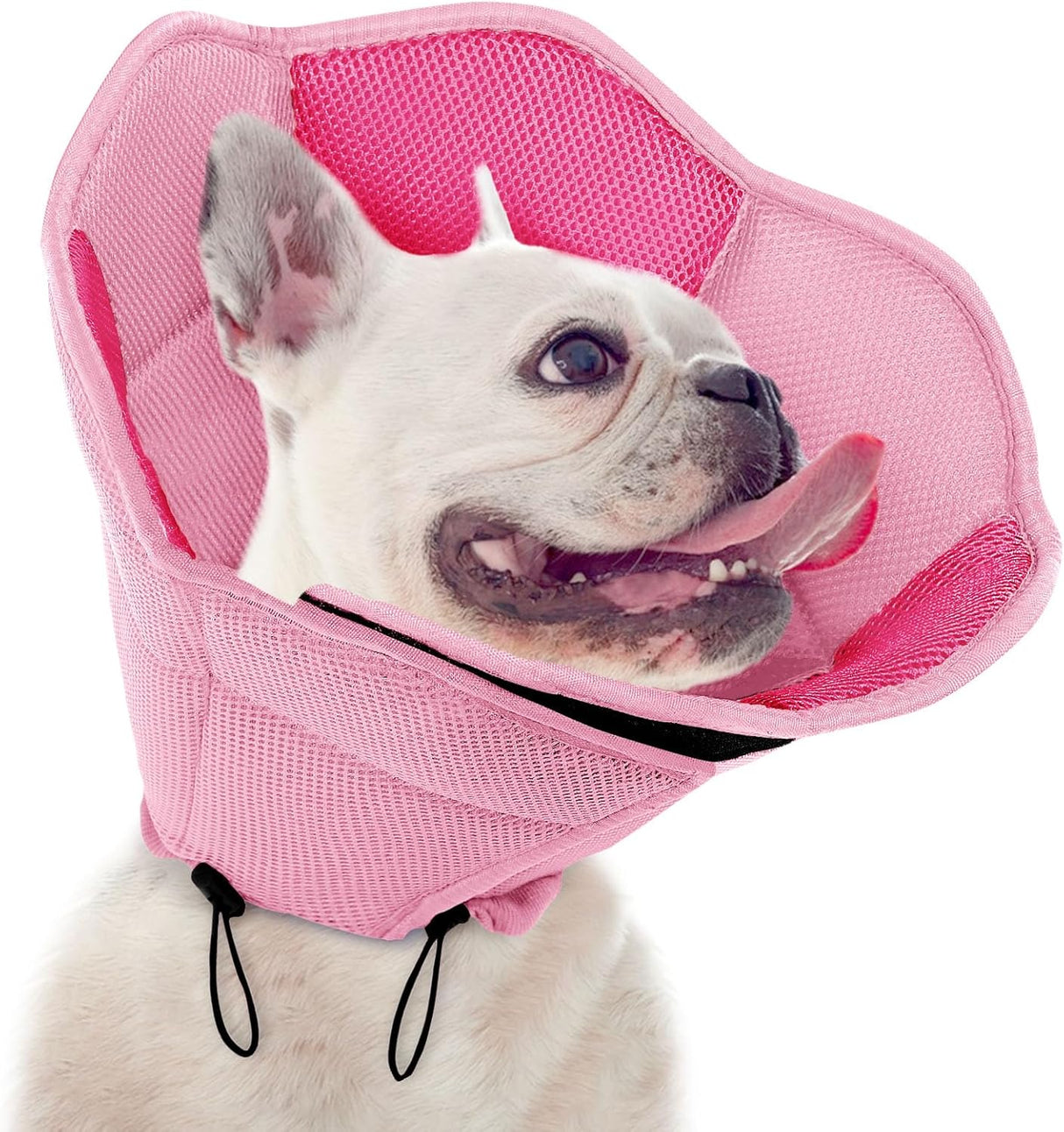 SUNFURA Dog Cone PINK MEDIUM