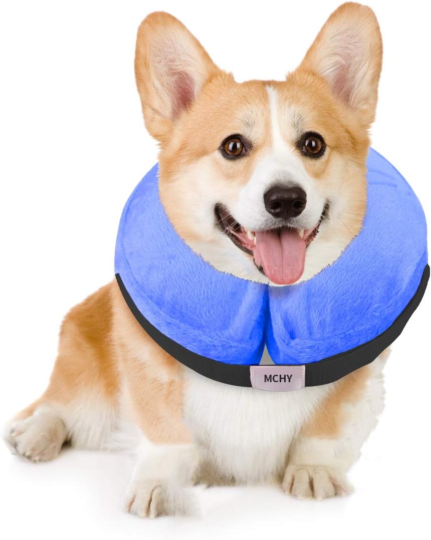 MCHY Adjustable Recovery Collar for Dogs MEDIUM BLUE