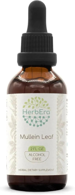 HERBERA - HerbEra Mullein Leaf B60 Alcohol-Free Herbal Extract Tincture 2 Fl.Oz. - The Red Vitamin MX - Suplementos Alimenticios - {{ shop.shopifyCountryName }}