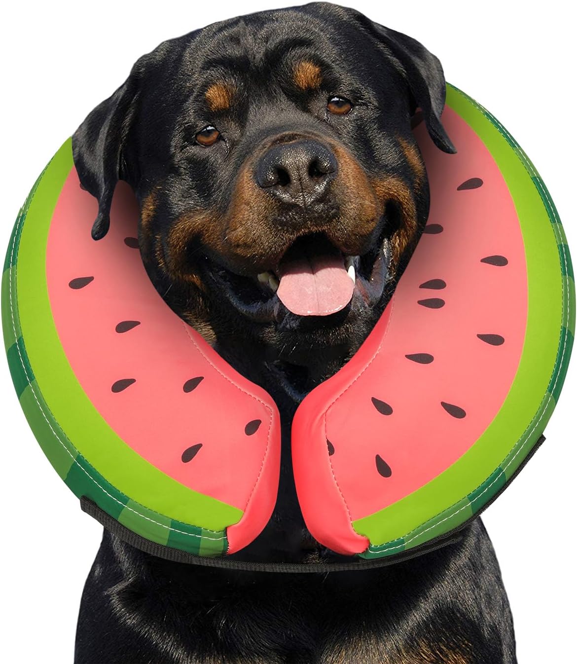 MIDOG Inflatable Dog Cone Collar Watermelon XLARGE Neck 18"-24"