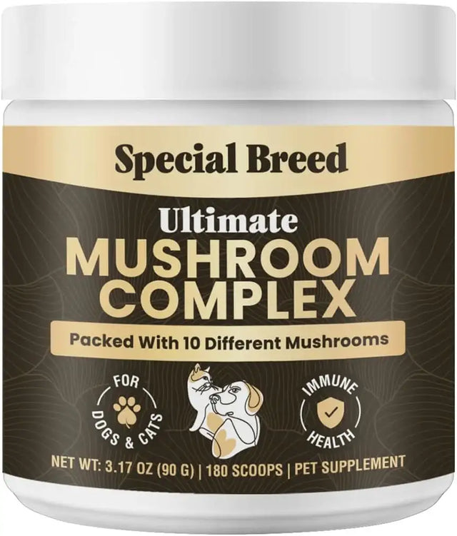SPECIAL BREED - Special Breed Mushroom Powder for Dogs & Cats 180 Servicios 90Gr. - The Red Vitamin MX - Suplementos Herbales Para Perros - {{ shop.shopifyCountryName }}