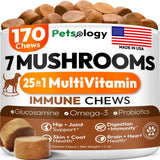 PETSOLOGY - Petsology Multivitamin Mushrooms for Dogs 170 Masticables - The Red Vitamin MX - Multivitamínicos Para Perros - {{ shop.shopifyCountryName }}