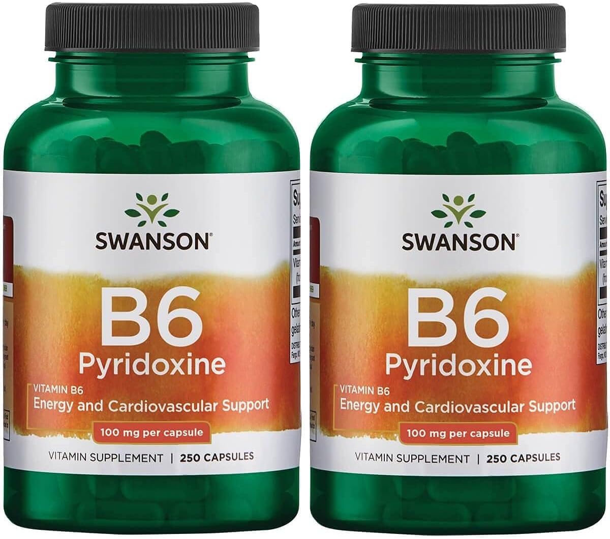 Swanson B6 Pyridoxine 100Mg. 250 Capsulas 2 Pack