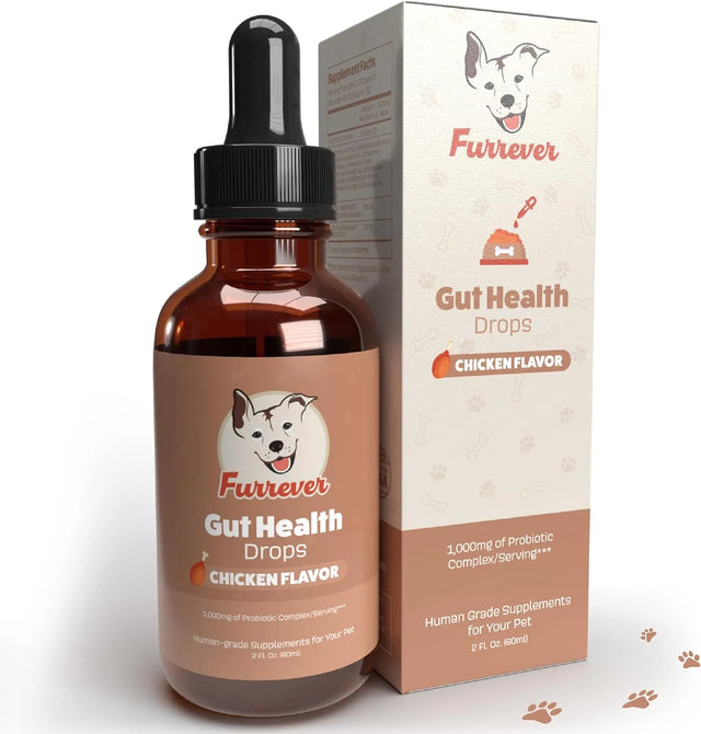 FURREVER - Furrever Gut Health Probiotics for Dogs Chicken Flavor 2 Fl.Oz. - The Red Vitamin MX - Probióticos Para Perros - {{ shop.shopifyCountryName }}