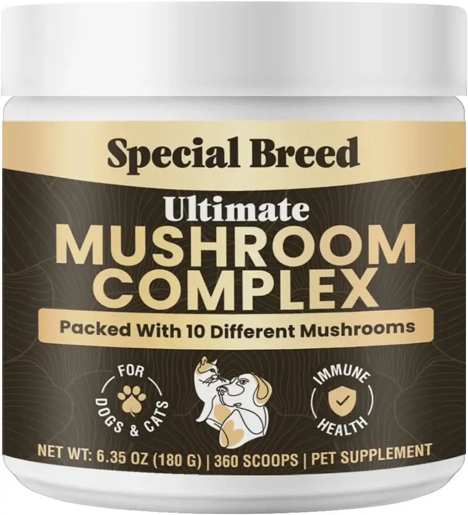 SPECIAL BREED - Special Breed Mushroom Powder for Dogs & Cats 360 Servicios 180Gr. - The Red Vitamin MX - Suplementos Herbales Para Perros - {{ shop.shopifyCountryName }}