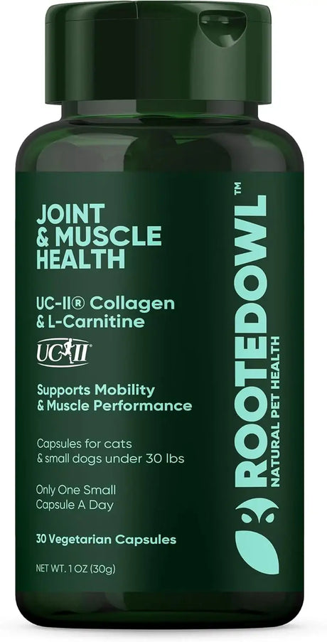 ROOTED OWL - Rooted Owl Joint and Muscle Support for Cats and Small Dogs 30 Capsulas - The Red Vitamin MX - Cuidado De Cadera Y Articulaciones Para Perros - {{ shop.shopifyCountryName }}