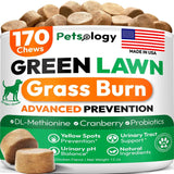 PETSOLOGY - Petsology Dog Urine Neutralizer for Lawn 170 Masticables - The Red Vitamin MX - Salud De Tracto Urinario Para Perros - {{ shop.shopifyCountryName }}