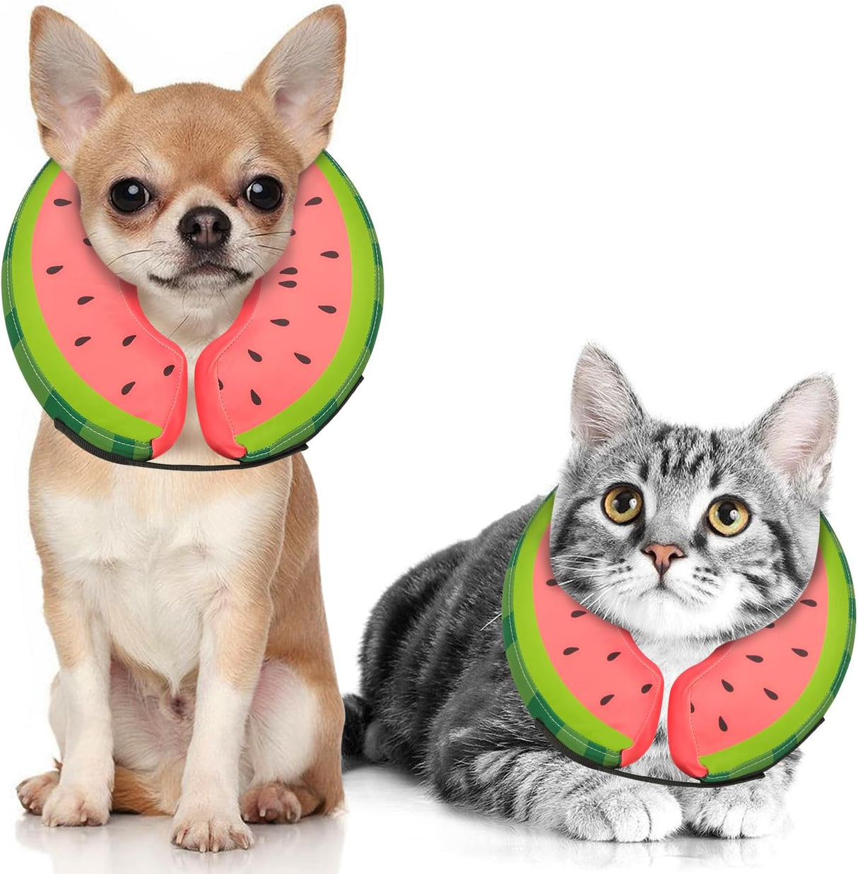 MIDOG Inflatable Dog Cone Collar Watermelon XSMALL Neck 5"-8"