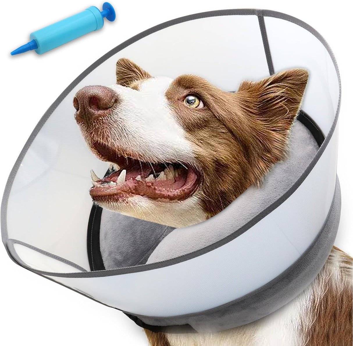 NoarWin 2-in-1 Inflatable Dog Cone Collar with Detachable Anti-Licking Shield GREY XLARGE