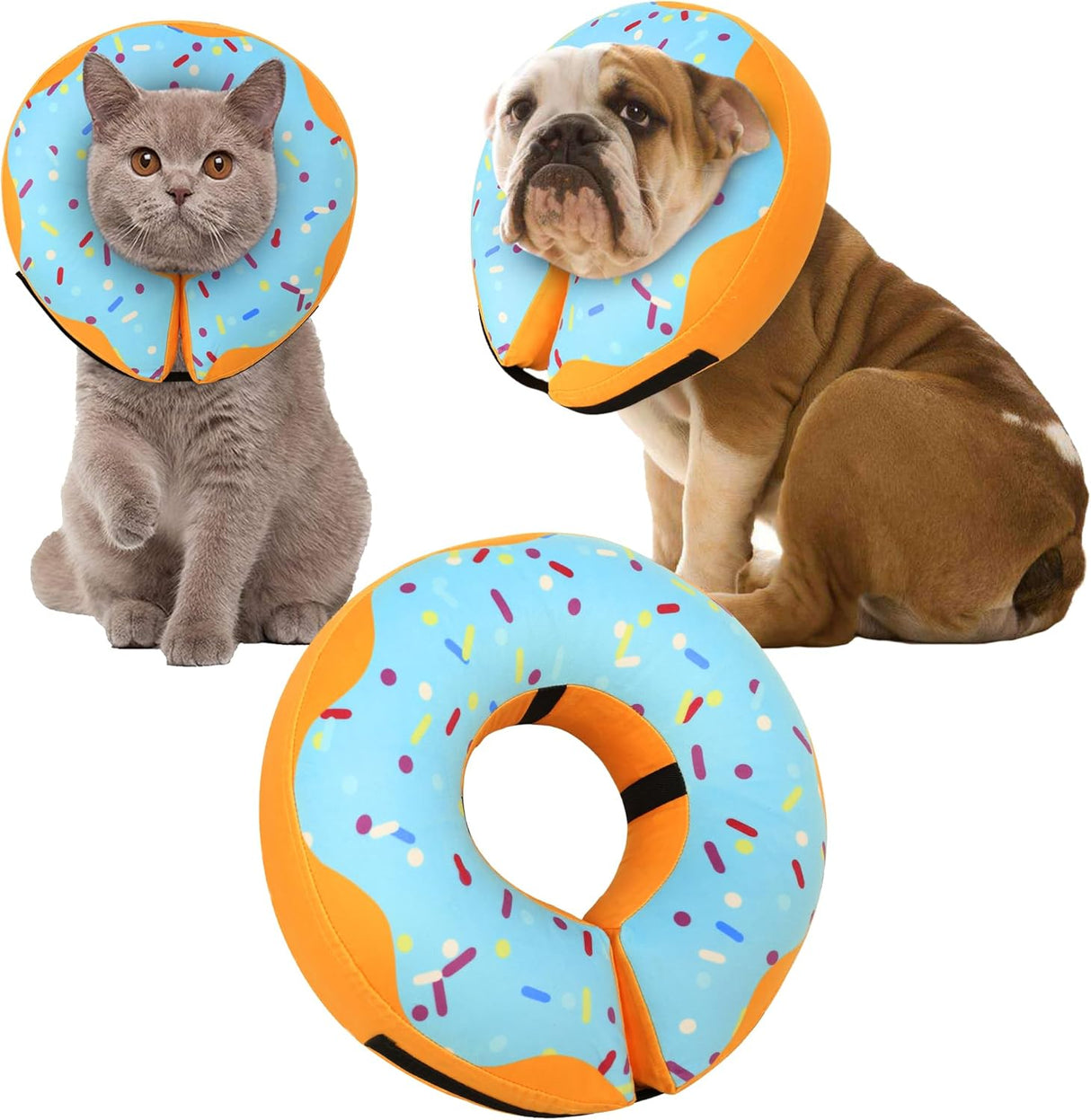 Cneo Recovery Donut Collar BLUE MEDIUM