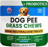 PAWFECTCHEW - PAWFECTCHEW Green Grass Dog Chews w/Probiotics 120 Masticables - The Red Vitamin MX - Salud De Tracto Urinario Para Perros - {{ shop.shopifyCountryName }}