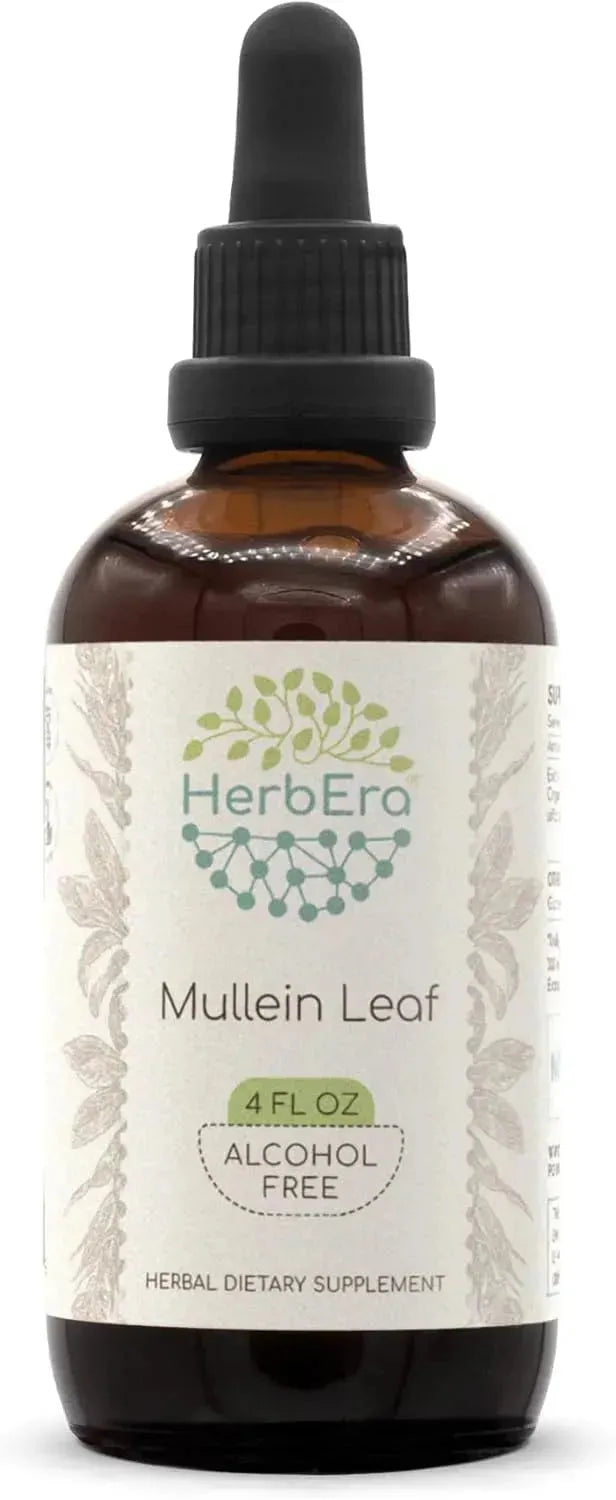 HERBERA - HerbEra Mullein Leaf B60 Alcohol-Free Herbal Extract Tincture 4 Fl.Oz. - The Red Vitamin MX - Suplementos Alimenticios - {{ shop.shopifyCountryName }}