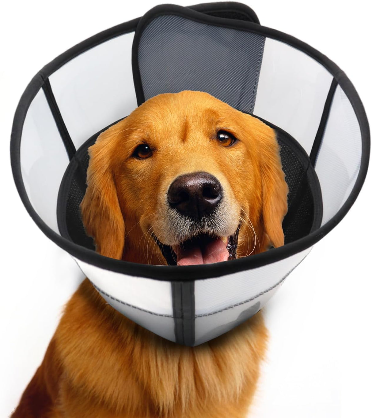WinWeal Soft Dog Cone for Dogs M Neck: 13.8-15.7"