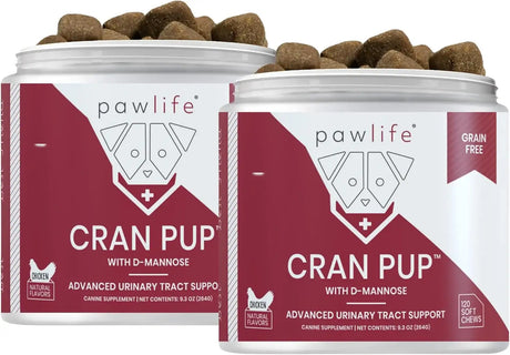 PAWLIFE - Pawlife Cranberry Supplements for Dogs 120 Masticables 2 Pack - The Red Vitamin MX - Salud De Tracto Urinario Para Perros - {{ shop.shopifyCountryName }}