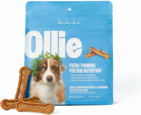 OLLIE - Ollie Dental Chews for Small Dogs 16-25 lbs 22 Piezas - The Red Vitamin MX - Cuidado Dental Para Perros - {{ shop.shopifyCountryName }}