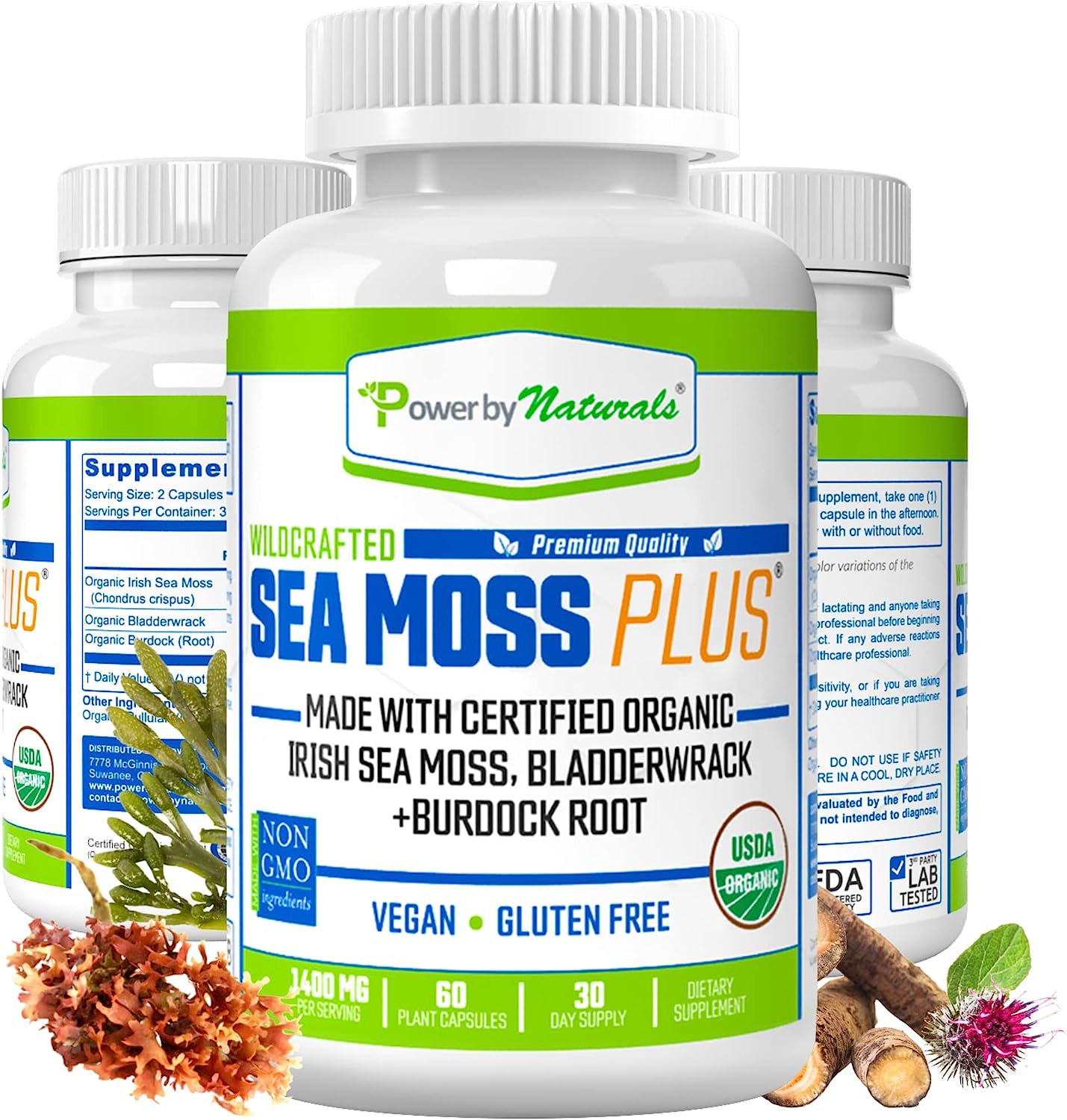 Sea Moss Musgo Marino Musgo Irlandés 100% Silvestre 227gr