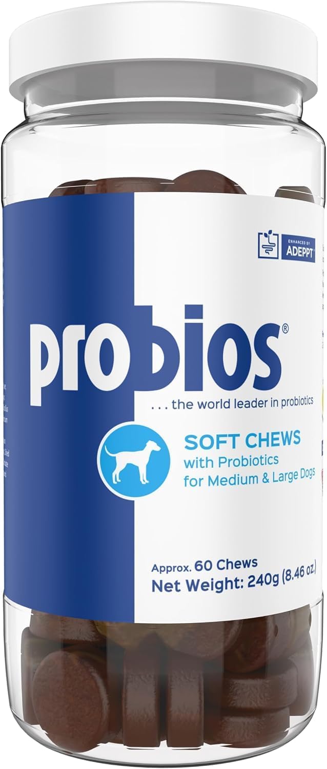 Vets Plus Probios for Dogs Soft Chews Medium & Large Breeds 60 Masticables 2 Pack