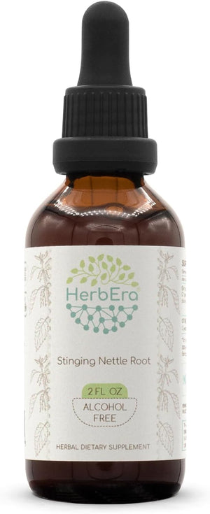 HerbEra Stinging Nettle Root B60 Alcohol-Free Herbal Extract Tincture 2 Fl.Oz.