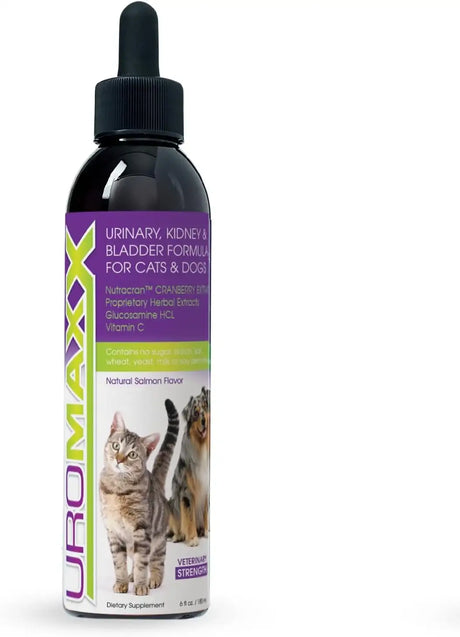 UROMAXX - UroMAXX Cat & Dog Urinary Tract Treatment Salmon Flavor 6 Fl.Oz. - The Red Vitamin MX - Salud De Tracto Urinario Para Perros - {{ shop.shopifyCountryName }}
