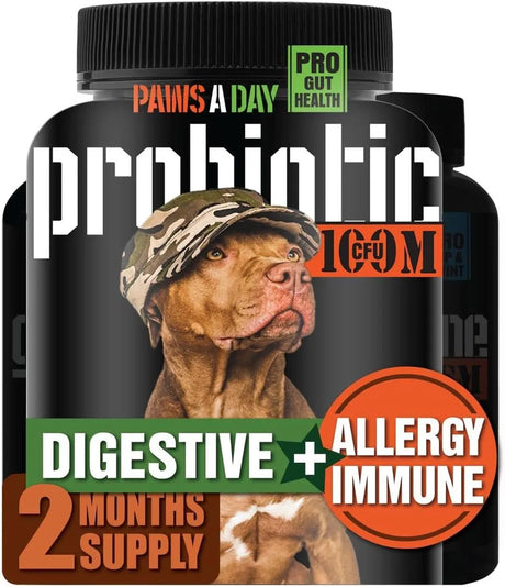 PAWS A DAY - Paws A Day Army Soldier Owned Dog Probiotics 60 Masticables - The Red Vitamin MX - Probióticos Para Perros - {{ shop.shopifyCountryName }}