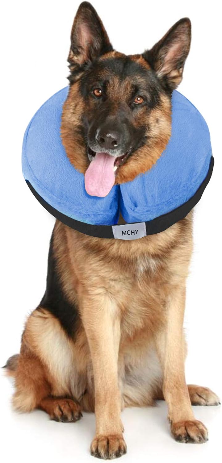 MCHY Adjustable Recovery Collar for Dogs XLARGE BLUE