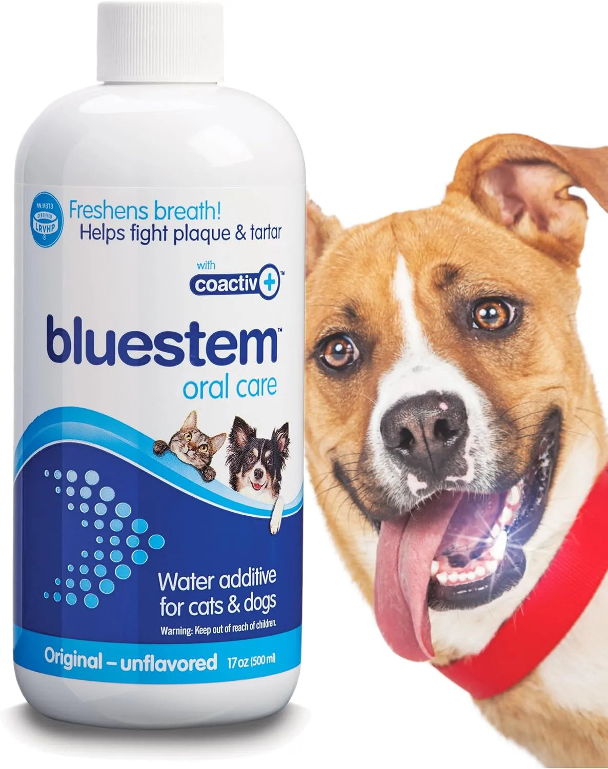 BLUESTEM - Bluestem Pet Water Additive Oral Care: for Dogs & Cats 500Ml. - The Red Vitamin MX - Cuidado Dental Para Perros - {{ shop.shopifyCountryName }}