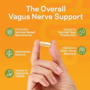 TJ NUTRITION - TJ Nutrition Parasym Plus Vagus Nerve Support 60 Capsulas - The Red Vitamin MX - Suplementos Alimenticios - {{ shop.shopifyCountryName }}