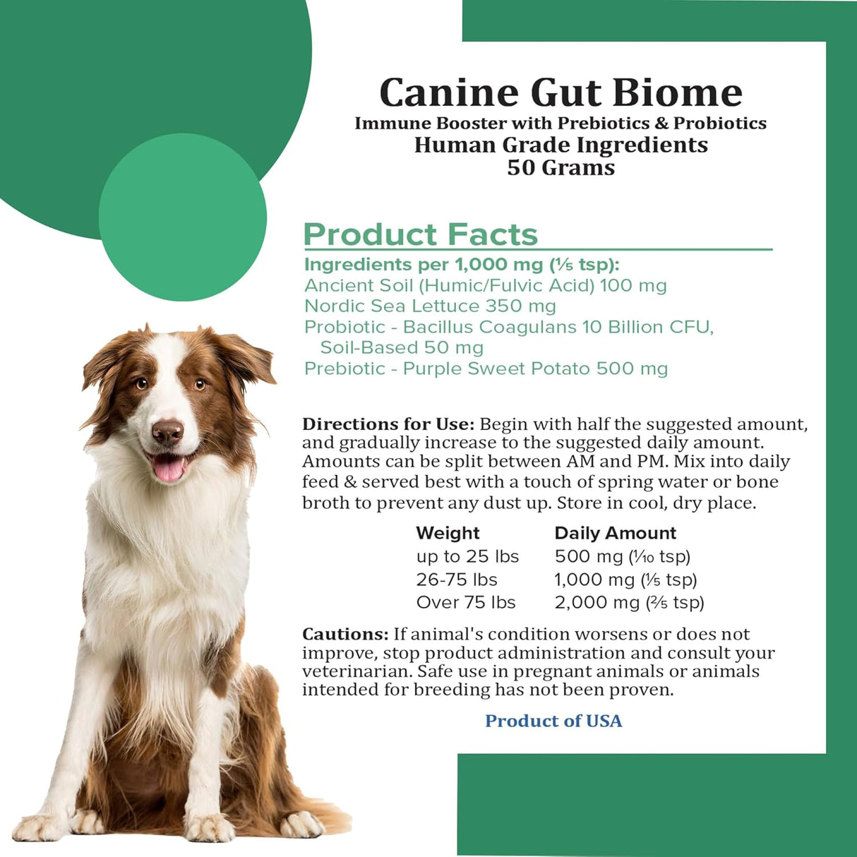 HOLISTIC BIN - HOLISTIC BIN Canine Gut Biome Powder 50Gr. - The Red Vitamin MX - Probióticos Para Perros - {{ shop.shopifyCountryName }}