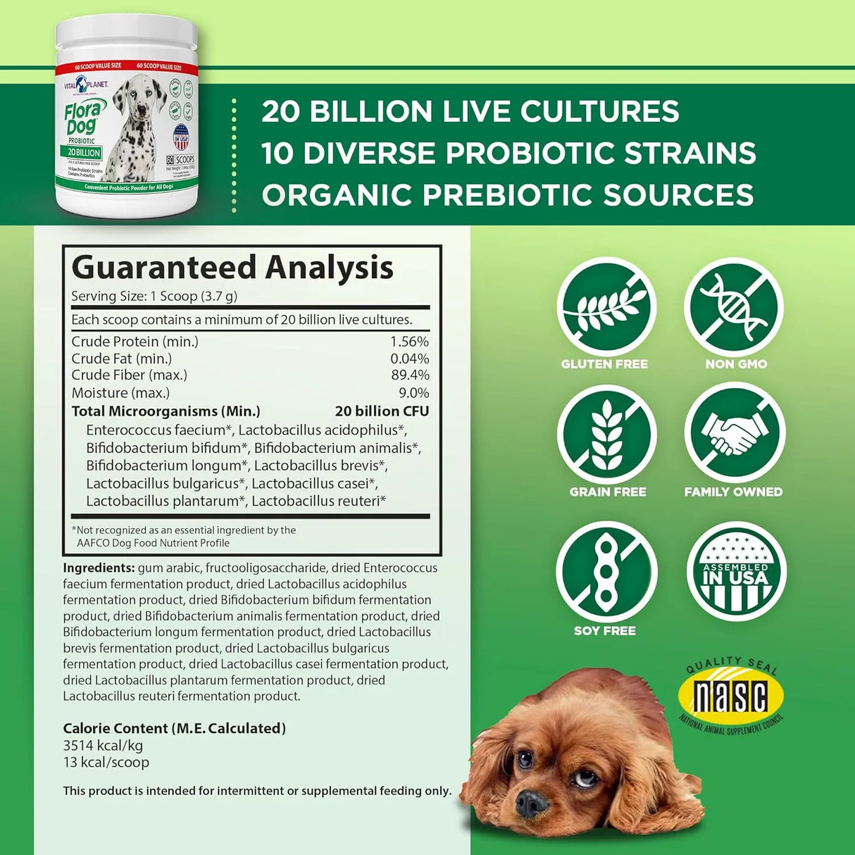 VITAL PLANET - Vital Planet Flora Dog Probiotic Powder 60 Servicios 222Gr. - The Red Vitamin MX - Probióticos Para Perros - {{ shop.shopifyCountryName }}