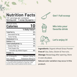 MICRO INGREDIENTS - Micro Ingredients Organic Wheat Grass Powder 454Gr. - The Red Vitamin MX - Suplementos Alimenticios - {{ shop.shopifyCountryName }}