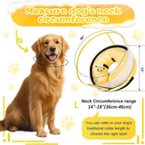 CNEO - Cneo Inflatable Dog Cone Collar with Detachable Enhanced Anti-Licking Shield LEMON LARGE - The Red Vitamin MX - Collares y Conos De Recuperación Para Perros - {{ shop.shopifyCountryName }}
