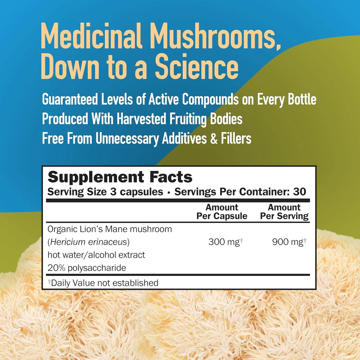 MUSHROOMSCIENCE - MushroomScience Lions Mane Mushroom 90 Capsulas - The Red Vitamin MX - Suplementos Alimenticios - {{ shop.shopifyCountryName }}