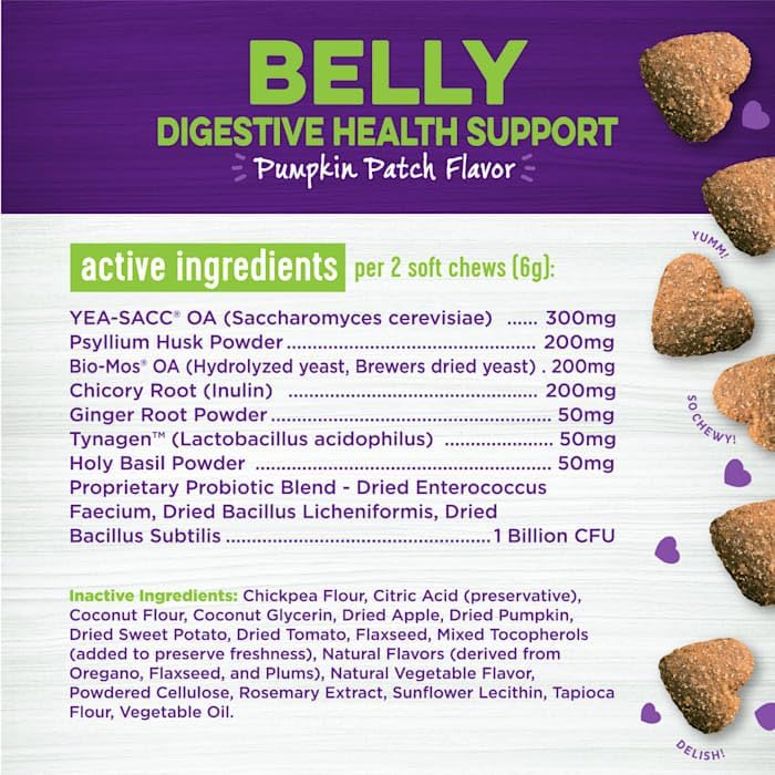 Wellness Belly Pumpkin Patch Flavored Soft Chew Digestive Health 45 Masticables