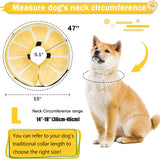Cneo Recovery Donut Collar LEMON LARGE
