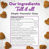 DR. HARVEY'S - Dr. Harvey's Digestive Probiotic Soft Chews for Dogs 90 Masticables - The Red Vitamin MX - Probióticos Para Perros - {{ shop.shopifyCountryName }}