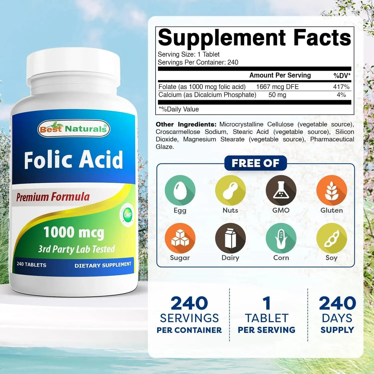 BEST NATURALS - Best Naturals Folic Acid 1000mcg 240 Tabletas 2 Pack - The Red Vitamin MX - Suplementos Alimenticios - {{ shop.shopifyCountryName }}