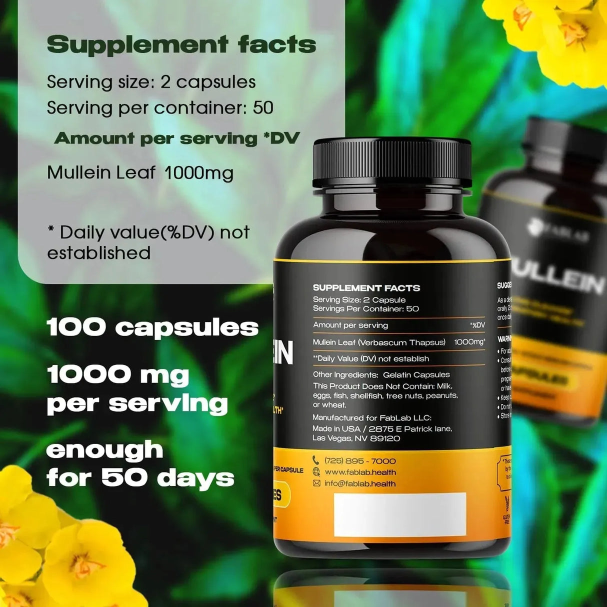 FABLAB - FabLab Mullein Leaf 500Mg. 100 Capsulas - The Red Vitamin MX - Suplementos Alimenticios - {{ shop.shopifyCountryName }}