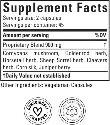 DOCTOR MORSE'S - Doctor Morse's Kidney & Bladder Daily Cleanse 90 Capsulas - The Red Vitamin MX - Suplementos Alimenticios - {{ shop.shopifyCountryName }}