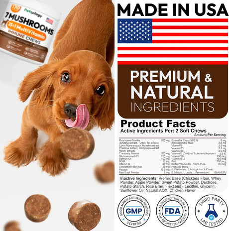 PETSOLOGY - Petsology Multivitamin Mushrooms for Dogs 170 Masticables - The Red Vitamin MX - Multivitamínicos Para Perros - {{ shop.shopifyCountryName }}