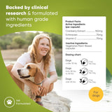 ROOTED OWL - Rooted Owl Urinary Support 60 Capsulas - The Red Vitamin MX - Salud De Tracto Urinario Para Perros - {{ shop.shopifyCountryName }}