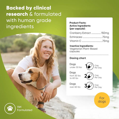 ROOTED OWL - Rooted Owl Urinary Support 60 Capsulas - The Red Vitamin MX - Salud De Tracto Urinario Para Perros - {{ shop.shopifyCountryName }}