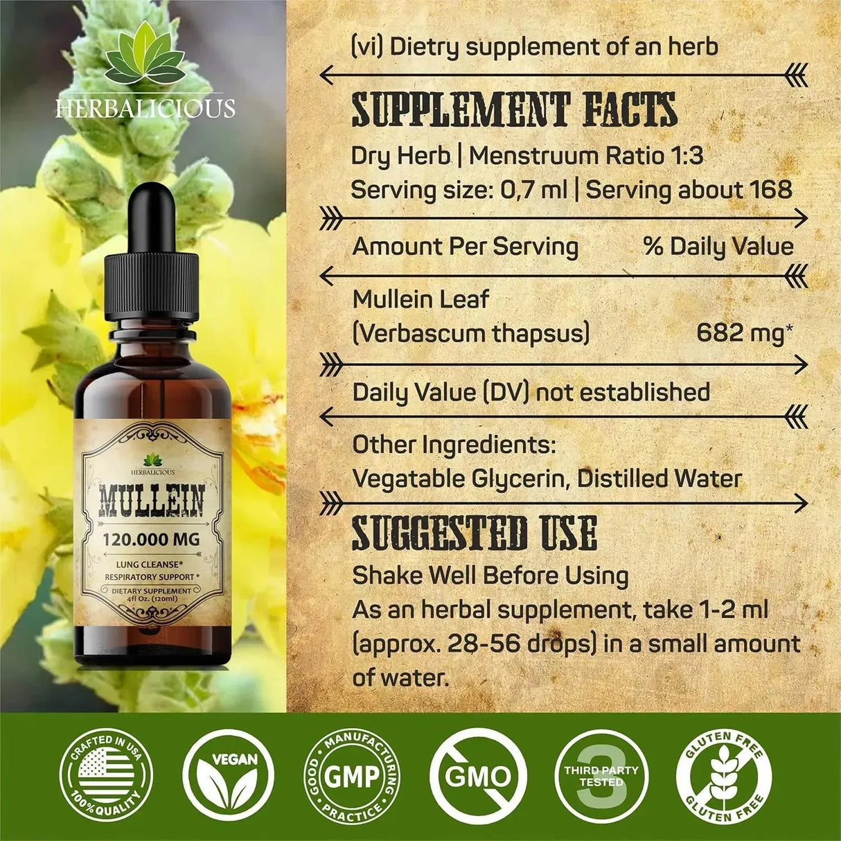 HERBALICIOUS - HERBALICIOUS Mullein Leaf Extract 4 Fl.Oz. - The Red Vitamin MX - Suplementos Alimenticios - {{ shop.shopifyCountryName }}