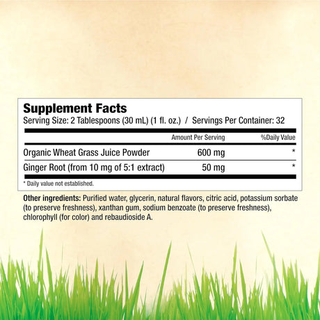 GARDEN GREENS - Garden Greens Wheat Grass Liquid with Real Ginger Extract 32 Servicios 946Ml. - The Red Vitamin MX - Suplementos Alimenticios - {{ shop.shopifyCountryName }}