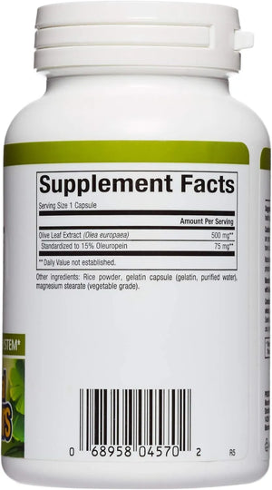 NATURAL FACTORS - Natural Factors Olive Leaf 500Mg. 90 Capsulas - The Red Vitamin MX - Suplementos Alimenticios - {{ shop.shopifyCountryName }}