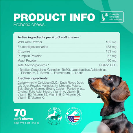 CHEWIA - CHEWIA Probiotics for Dogs 70 Masticables - The Red Vitamin MX - Probióticos Para Perros - {{ shop.shopifyCountryName }}