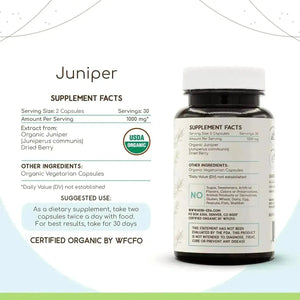 HERBERA - HerbEra Juniper 500Mg. 60 Capsulas - The Red Vitamin MX - Suplementos Alimenticios - {{ shop.shopifyCountryName }}