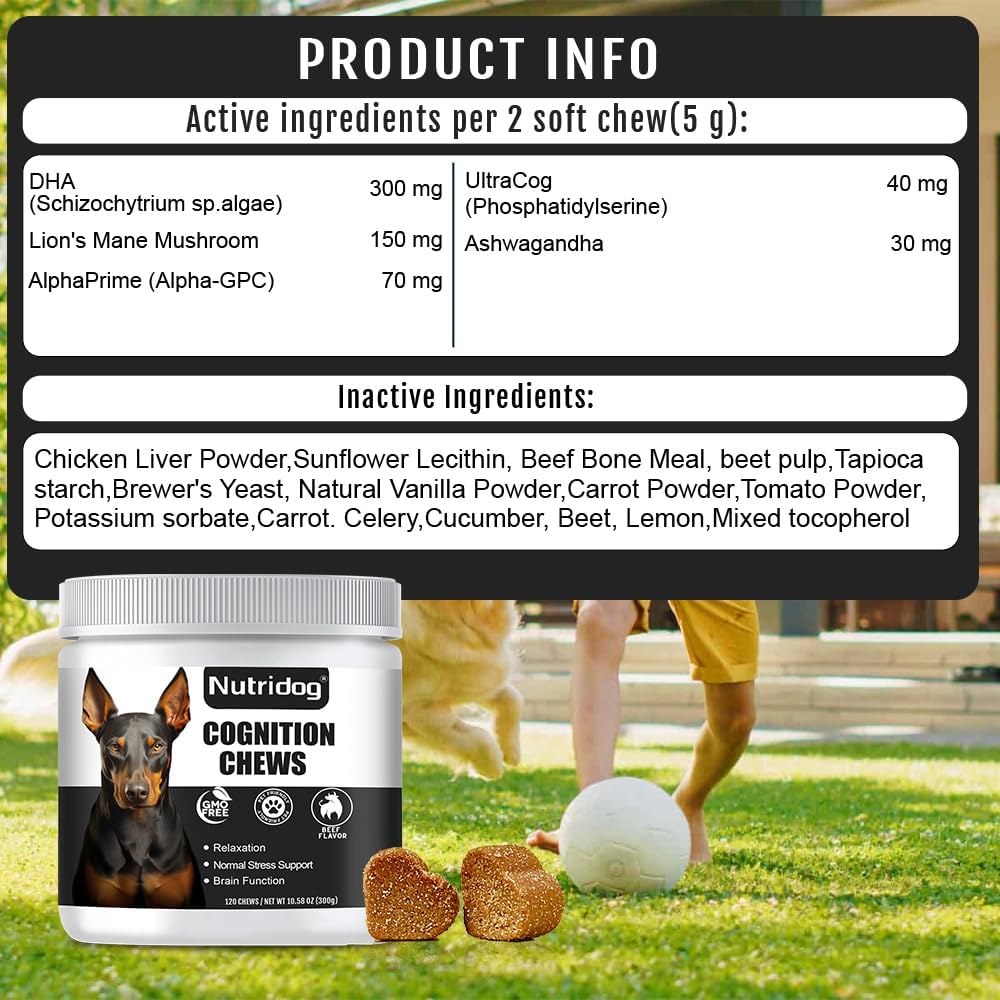 NUTRIDOG - Nutridog Advanced Cognition Chews for Dogs 120 Masticables - The Red Vitamin MX - Suplementos Herbales Para Perros - {{ shop.shopifyCountryName }}