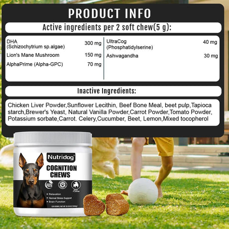 NUTRIDOG - Nutridog Advanced Cognition Chews for Dogs 120 Masticables - The Red Vitamin MX - Suplementos Herbales Para Perros - {{ shop.shopifyCountryName }}